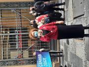 Imagem Indisponível